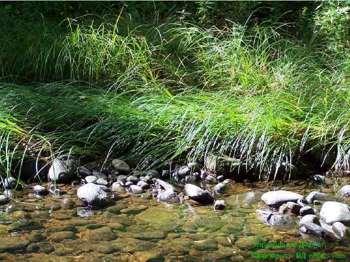 Упражнение Диалог, Фрагмент – ВД верб - нев 