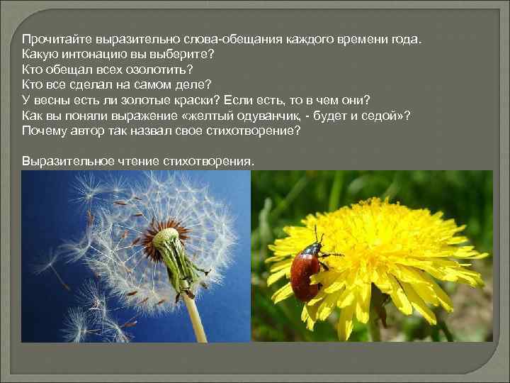 Прочитайте выразительно слова-обещания каждого времени года. Какую интонацию вы выберите? Кто обещал всех озолотить?