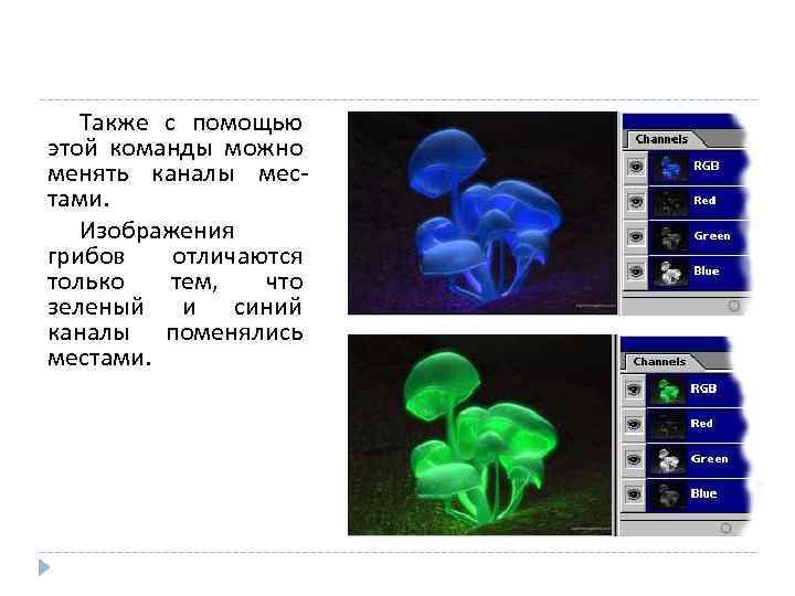 Также с помощью этой команды можно менять каналы местами. Изображения грибов отличаются только тем,