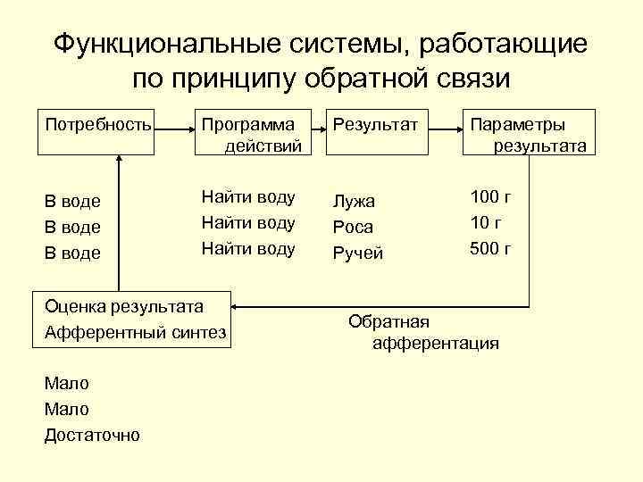 Функциональные системы, работающие по принципу обратной связи Потребность Программа действий Результат Параметры результата В