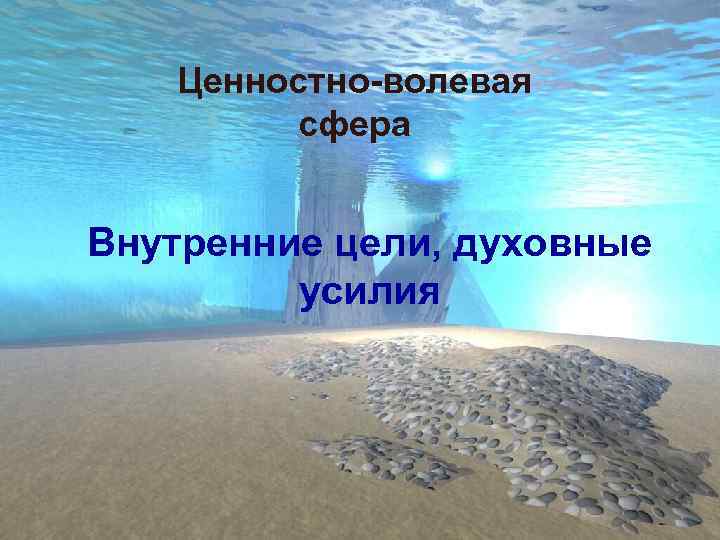 Ценностно-волевая сфера Внутренние цели, духовные усилия 