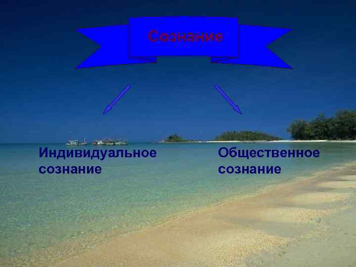 Сознание Индивидуальное сознание Общественное сознание 