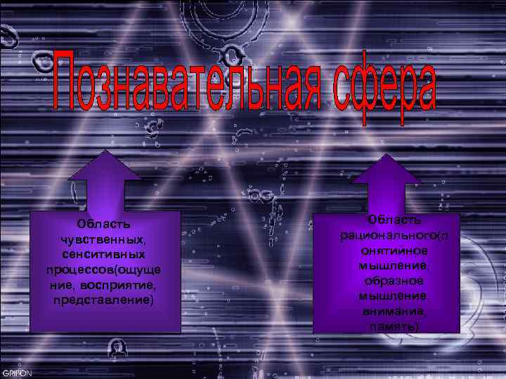 Область чувственных, сенситивных процессов(ощуще ние, восприятие, представление) Область рационального(п онятийное мышление, образное мышление, внимание,
