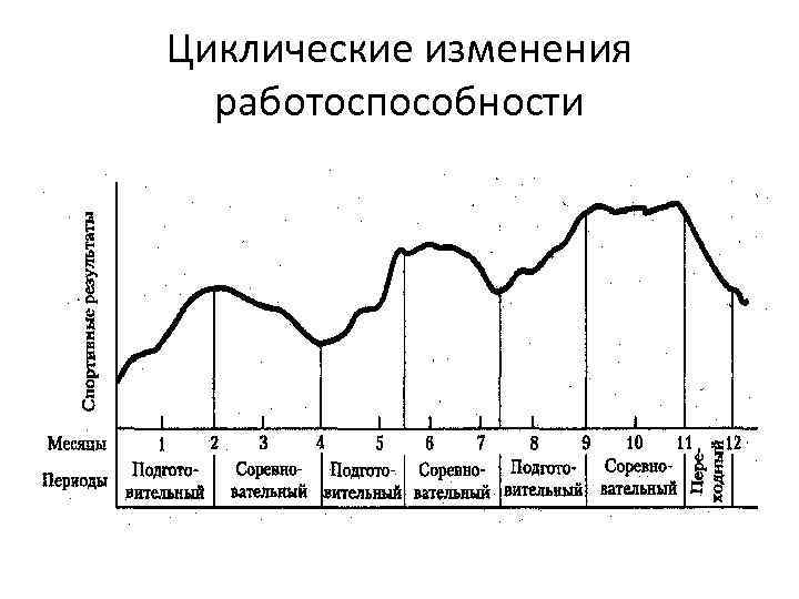 Циклические изменения