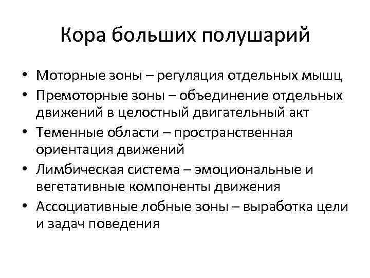 Кора больших полушарий • Моторные зоны – регуляция отдельных мышц • Премоторные зоны –