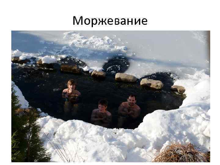 Моржевание 