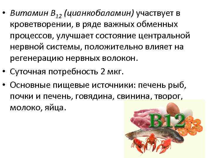  • Витамин В 12 (цианкобаламин) участвует в кроветворении, в ряде важных обменных процессов,