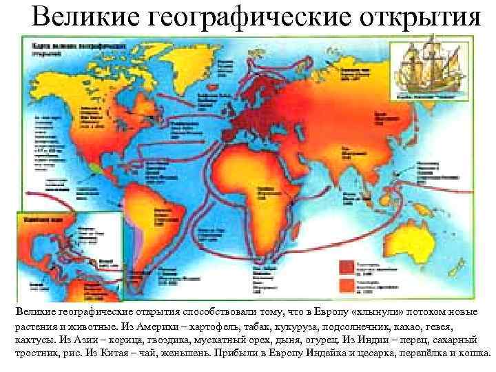 Великие географические открытия способствовали тому, что в Европу «хлынули» потоком новые растения и животные.