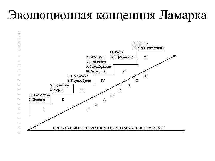 Эволюционная концепция Ламарка • • • • • • 13. Птицы 14. Млекопитающие 11.