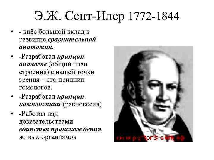 Э. Ж. Сент-Илер 1772 -1844 • - внёс большой вклад в развитие сравнительной анатомии.