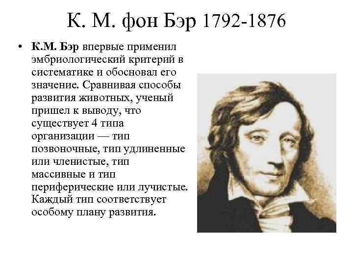 К. М. фон Бэр 1792 -1876 • К. М. Бэр впервые применил эмбриологический критерий