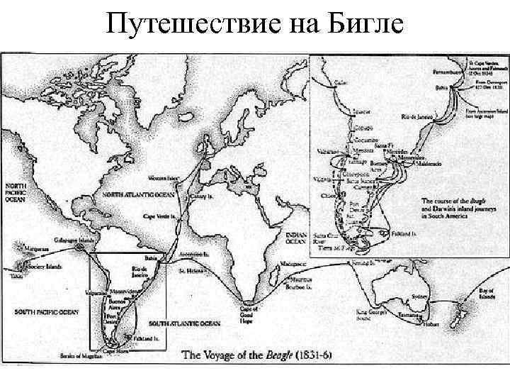 Путешествие на Бигле 