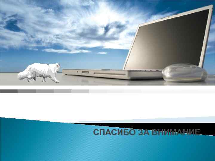 СПАСИБО ЗА ВНИМАНИЕ 