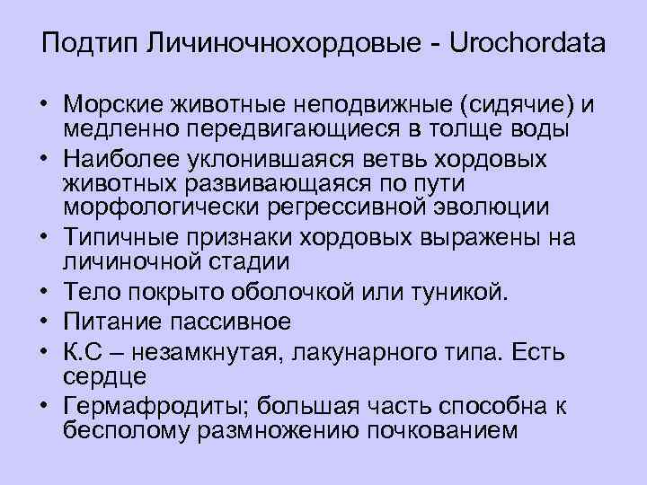 Подтип Личиночнохордовые - Urochordata • Морские животные неподвижные (сидячие) и медленно передвигающиеся в толще