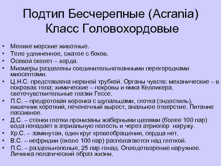 Подтип Бесчерепные (Acrania) Класс Головохордовые • • • Мелкие морские животные. Тело удлиненное, сжатое