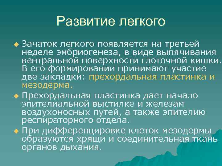 Эволюция легкое дыхание