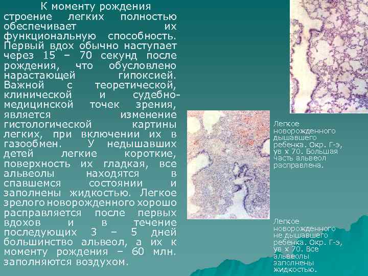 К моменту рождения строение легких полностью обеспечивает их функциональную способность. Первый вдох обычно наступает