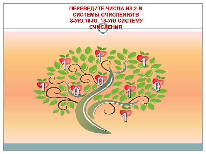 ПЕРЕВЕДИТЕ ЧИСЛА ИЗ 2 -Й СИСТЕМЫ СЧИСЛЕНИЯ В 8 -УЮ, 10 -Ю, 16 -УЮ