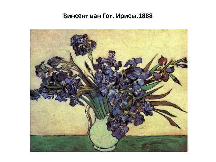 Винсент ван Гог. Ирисы. 1888 