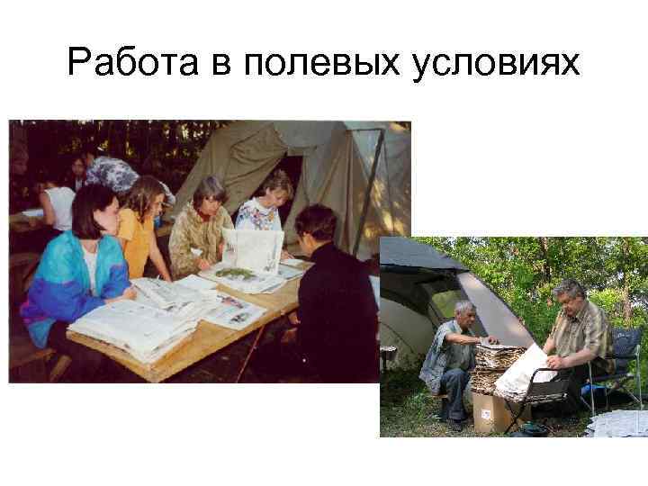 Работа в полевых условиях 