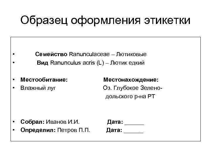 Образец оформления этикетки • Семейство Ranunculaceae – Лютиковые • Вид Ranunculus acris (L) –