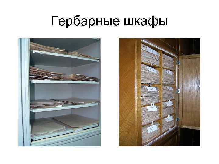 Гербарные шкафы 
