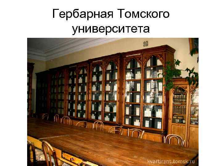 Гербарная Томского университета 
