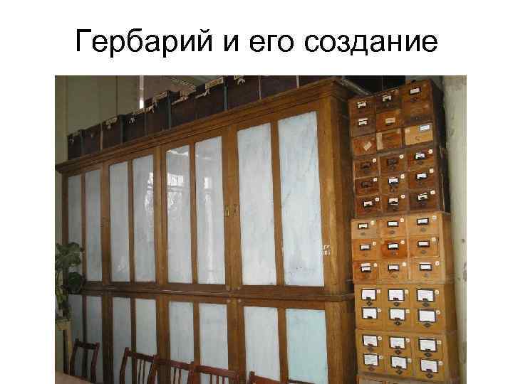 Гербарий и его создание 