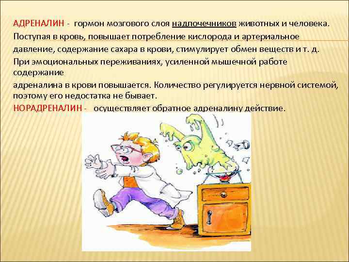 АДРЕНАЛИН - гормон мозгового слоя надпочечников животных и человека. Поступая в кровь, повышает потребление