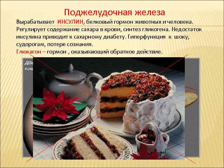 Поджелудочная железа Вырабатывает ИНСУЛИН, белковый гормон животных и человека. Регулирует содержание сахара в крови,