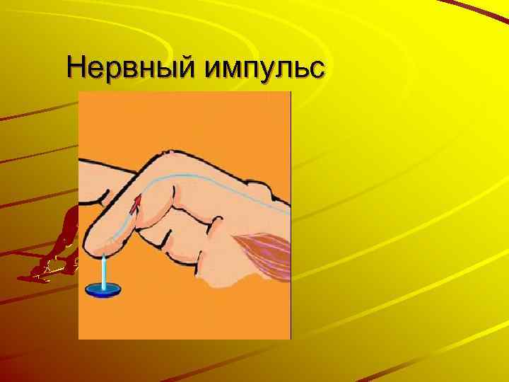 Нервный импульс 