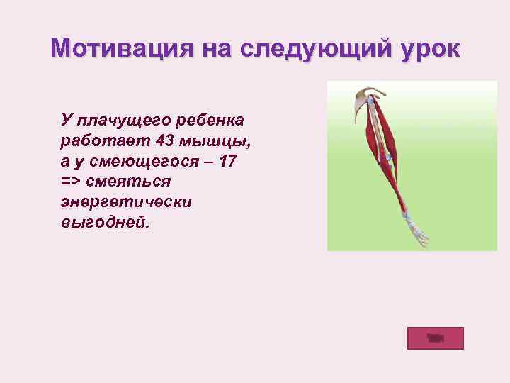 Мотивация на следующий урок У плачущего ребенка работает 43 мышцы, а у смеющегося –