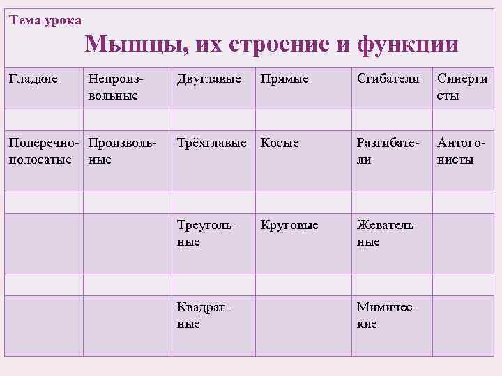 Урок мышцы. Функции двуглавой и трехглавой мышцы плеча таблица. Урок мышцы и их функции.. Мышцы тема урока. Мышцы 8 класс биология урок таблица.