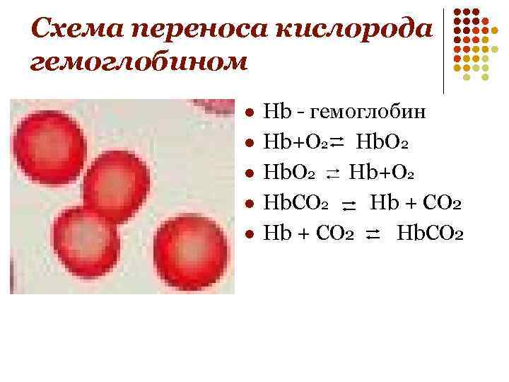 Схема переноса кислорода гемоглобином l l l Hb - гемоглобин Hb+O 2 Hb. CO