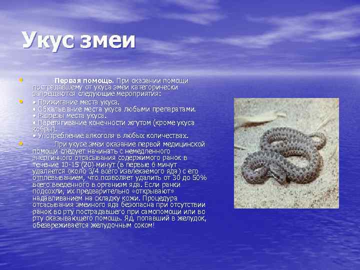 Укус змеи • • • Первая помощь. При оказании помощи пострадавшему от укуса змеи