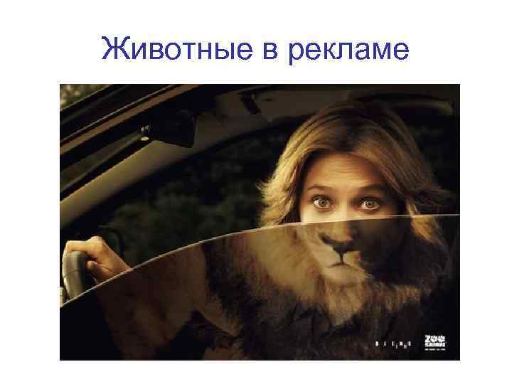 Животные в рекламе 