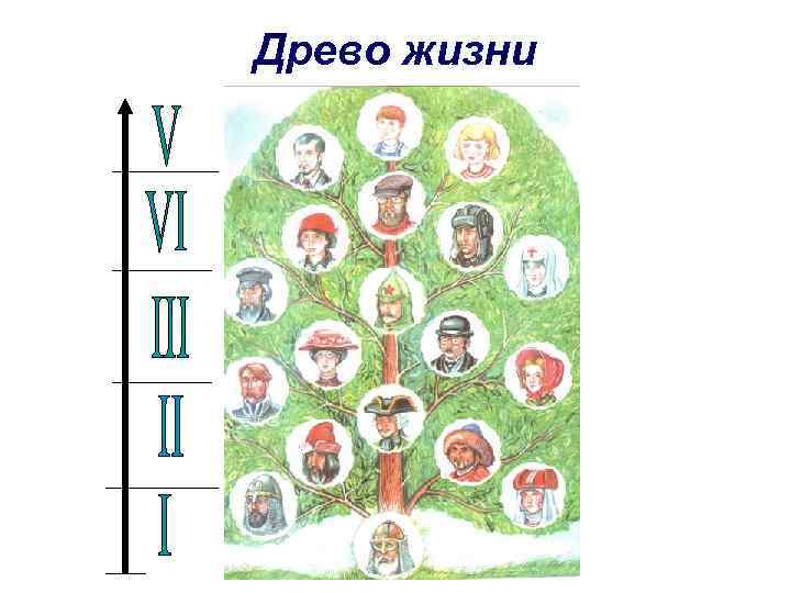 Древо жизни 