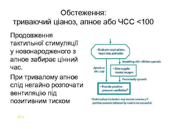 Обстеження: триваючий ціаноз, апное або ЧСС <100 Продовження тактильної стимуляції у новонародженого з апное