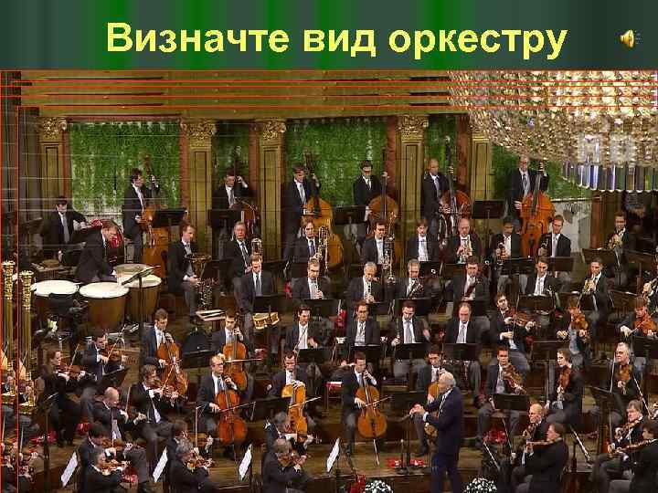 Визначте вид оркестру Дмитриева С. Н. март 2009 г. 