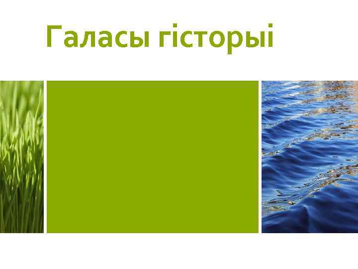 Галасы гісторыі 