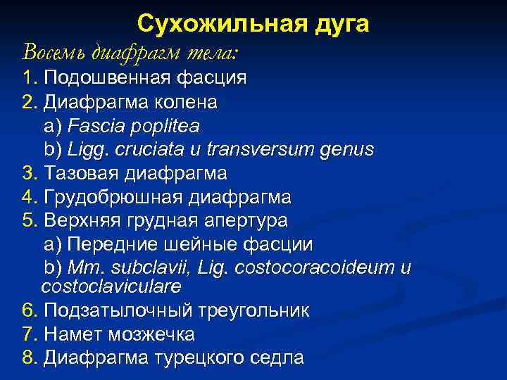 Сухожильная дуга Восемь диафрагм тела: 1. Подошвенная фасция 2. Диафрагма колена а) Fascia poplitea