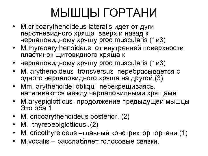 МЫШЦЫ ГОРТАНИ • M. cricoarythenoideus lateralis идет от дуги перстневидного хряща вверх и назад