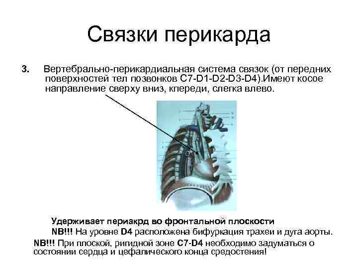 Связки с фантом лансером