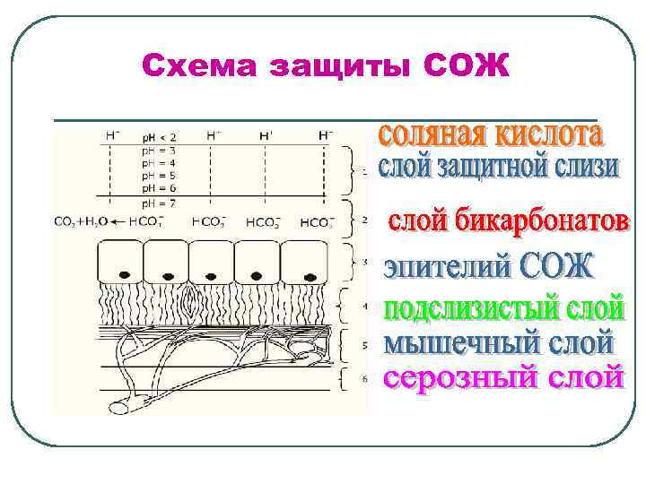 Схема защиты СОЖ 