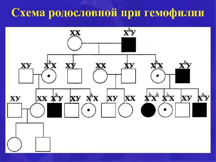 Схема родословной. Гемофилия родословная. Родословная по генетике по гемофилии. Схема родословной при гемофилии.