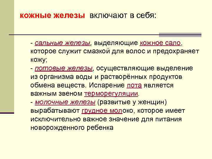 кожные железы включают в себя: - сальные железы, выделяющие кожное сало, которое служит смазкой