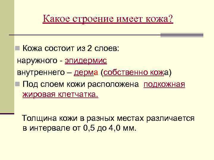 Какое строение имеет кожа? n Кожа состоит из 2 слоев: наружного - эпидермис внутреннего