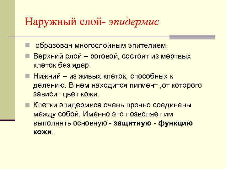 Наружный слой- эпидермис n образован многослойным эпителием. n Верхний слой – роговой, состоит из