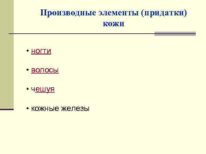 Производные элементы (придатки) кожи • ногти • волосы • чешуя • кожные железы 