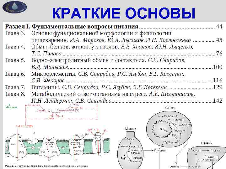 КРАТКИЕ ОСНОВЫ 